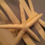 U Rudobrodego شقة Pogorze